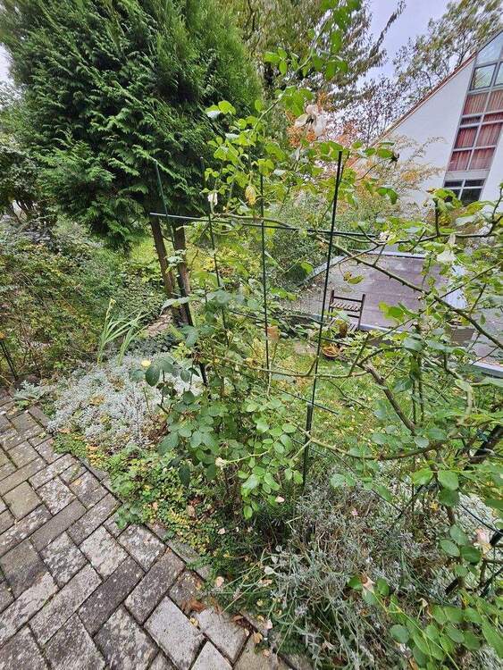 Stilvolle 3 Zi-Wohnung mit Garten & Terrasse - Erstbezug nach hochwertiger Komplettsanierung 3 zimmer