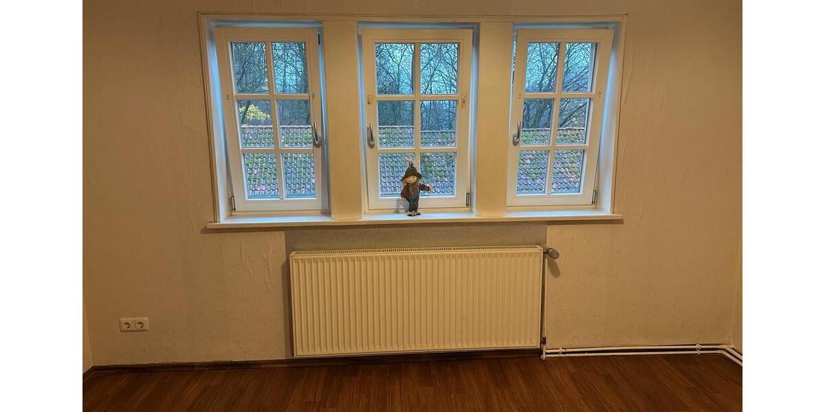 Doppelhaushälfte Bad Grund (Harz) - 4 Zimmer, 83 m&sup2;, 750&euro; | Angebot:24109847