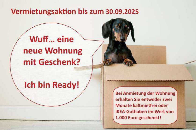Wohnung zum Mieten in Halle 620 € 81 m²