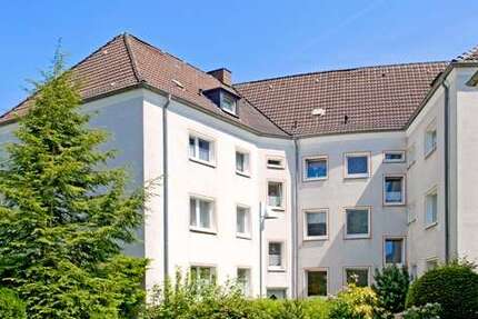 Wohnung Gladbeck Alt-Rentfort - 2.5 Zimmer, 67 m&sup2;, 509&euro; | Angebot:26659404