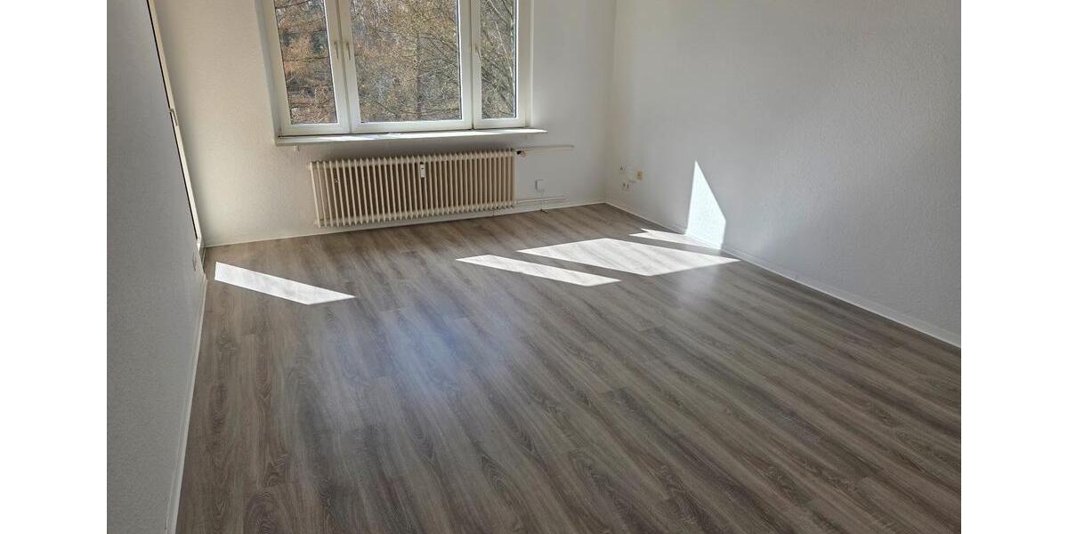 Etagenwohnung Werdohl - 2 Zimmer, 46 m&sup2;, 299&euro; | Angebot:26131003