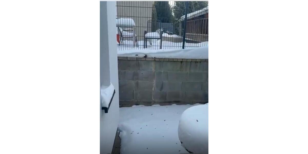 Wohnen auf Zeit Bremen Burglesum - 1 Zimmer, 26 m&sup2;, 1.050&euro; | Angebot:25978157