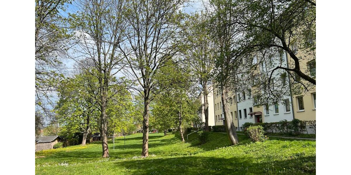 Erdgeschoßwohnung Chemnitz Adelsberg - 3 Zimmer, 61 m&sup2;, 320&euro; | Angebot:26035131