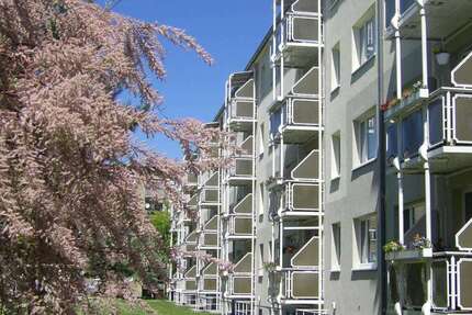 Wohnung Wurzen Altstadt - 2.5 Zimmer, 60 m&sup2;, 385&euro; | Angebot:25293442