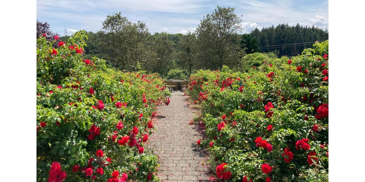 Etagenwohnung Weilburg - 3 Zimmer, 104 m&sup2;, 1.350&euro; | Angebot:25160842