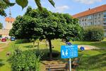 Etagenwohnung Huy - 2 Zimmer, 44 m&sup2;, 249&euro; | Angebot:26144991