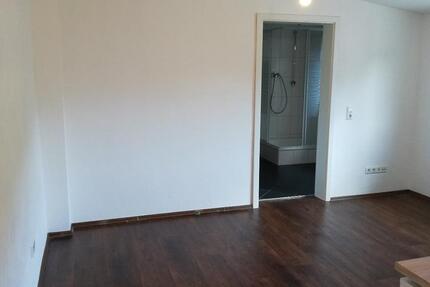 Schöne Single-Wohnung zu vermieten 1 zimmer