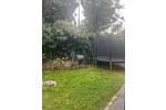 Wohnung mit Garten am Werdersee