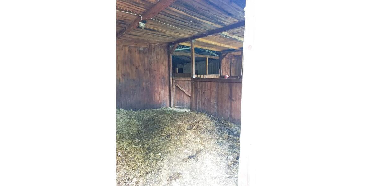 Gewerbeobjekt Hohenmölsen - 8&euro; | Angebot:26701709