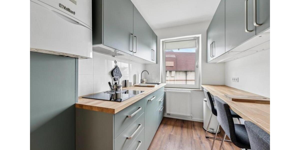 Etagenwohnung Nürnberg Gibitzenhof - 1 Zimmer, 48 m&sup2;, 650&euro; | Angebot:26587895