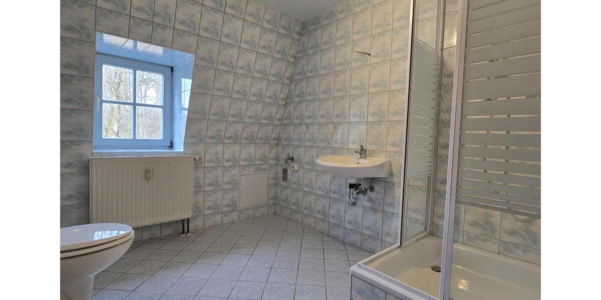 4-Zimmer Wohnung, frisch saniert und bezugsfertig (A1647) 4 zimmer