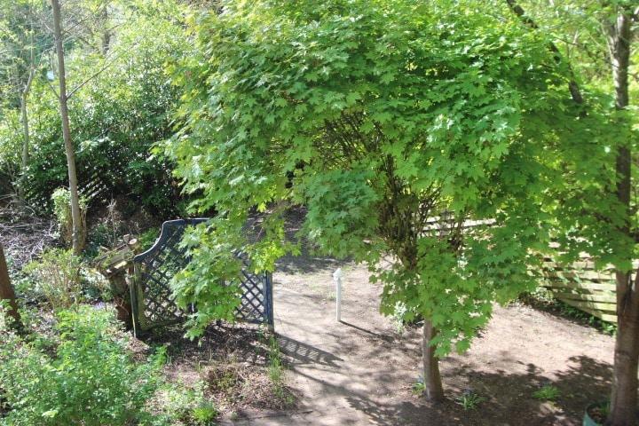 Dachgeschoßwohnung Leck - 3 Zimmer, 145 m&sup2;, 950&euro; | Angebot:26618427