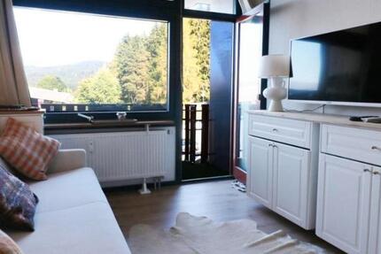 Gemütliches, möbliertes Appartement in Schluchsee zu vermieten zimmer