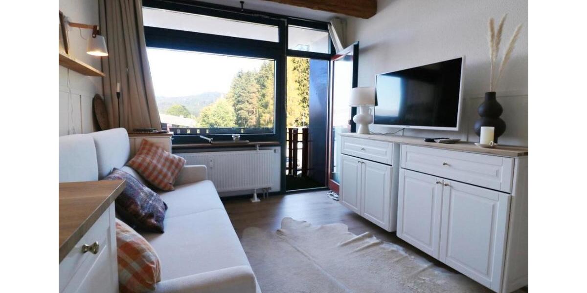 Gemütliches, möbliertes Appartement in Schluchsee zu vermieten zimmer