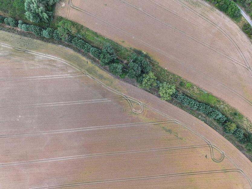 Kompakte Ackerfläche für Jedermann bei Halle (Saale) - ca. 1330 m² zimmer