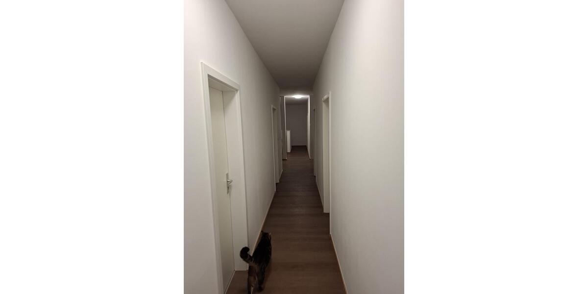 Wohnen auf Zeit Biebertal - 1 Zimmer, 12 m&sup2;, 385&euro; | Angebot:24678408