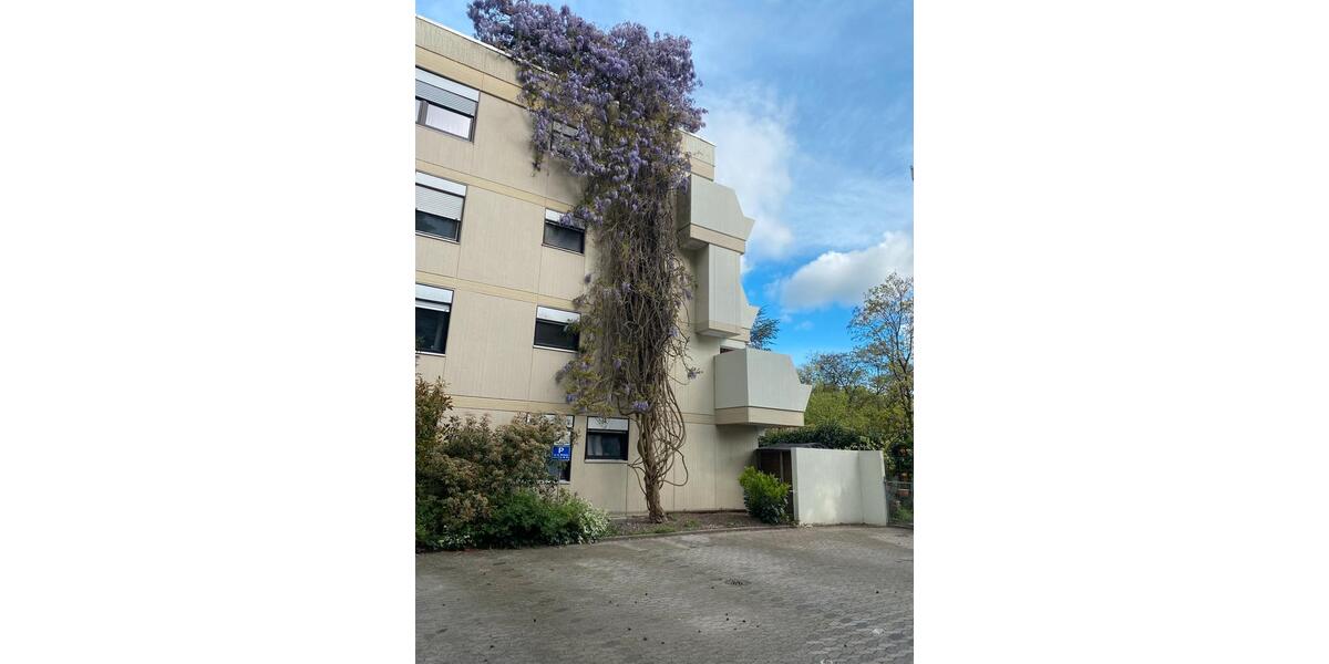 Etagenwohnung Darmstadt Eberstadt - 1 Zimmer, 37 m&sup2;, 620&euro; | Angebot:20493274