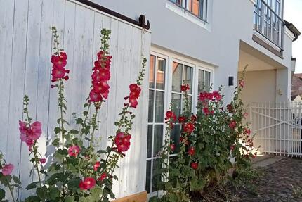 Wohnung Kappeln - 2 Zimmer, 60 m&sup2;, 660&euro; | Angebot:26237315