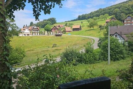 Wohnen auf Zeit Sasbachwalden - 4 Zimmer, 60 m&sup2;, 550&euro; | Angebot:25963247