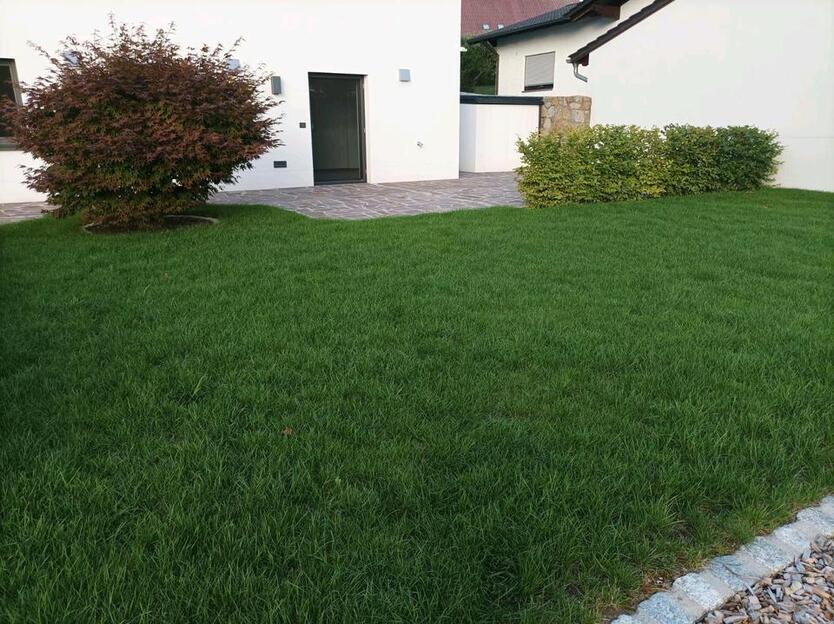 Wohnung zu vermieten - 2 Zimmer
