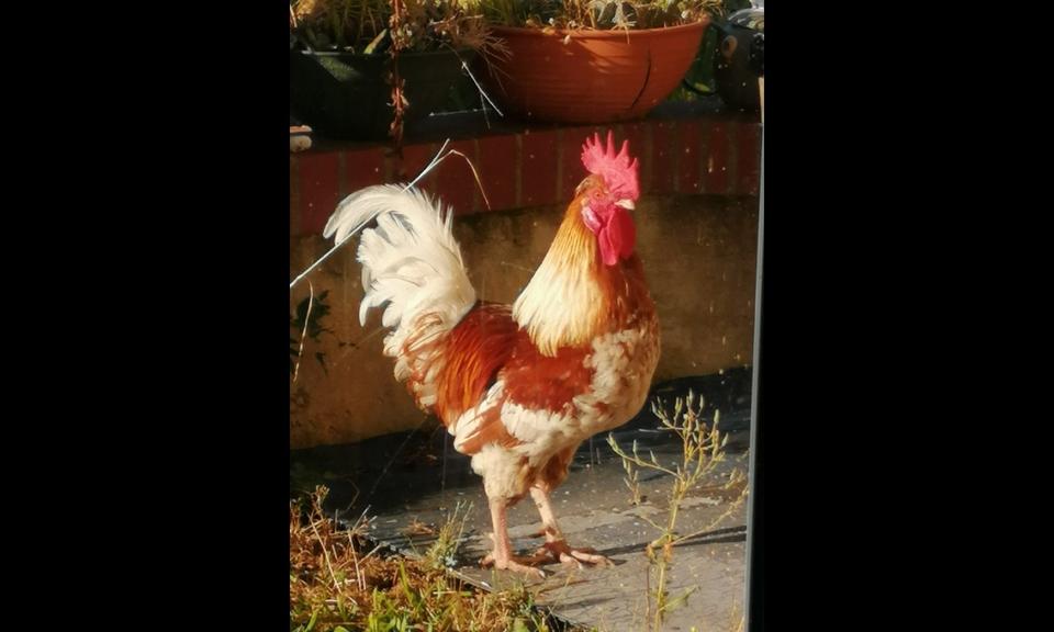 Wohnen auf Zeit Ruhland - 5 Zimmer, 170 m&sup2;, 300&euro; | Angebot:25615189