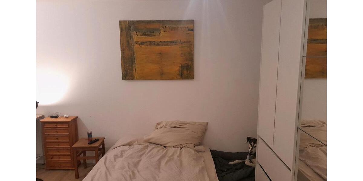 Wohnen auf Zeit Feldberg (Schwarzwald) - 1 Zimmer, 20 m&sup2;, 520&euro; | Angebot:25677526