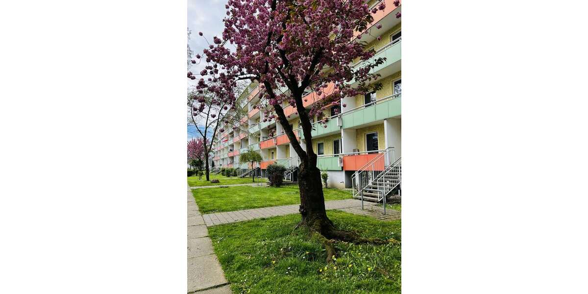 Etagenwohnung Magdeburg Neustädter Feld - 3 Zimmer, 70 m&sup2;, 428&euro; | Angebot:25335281