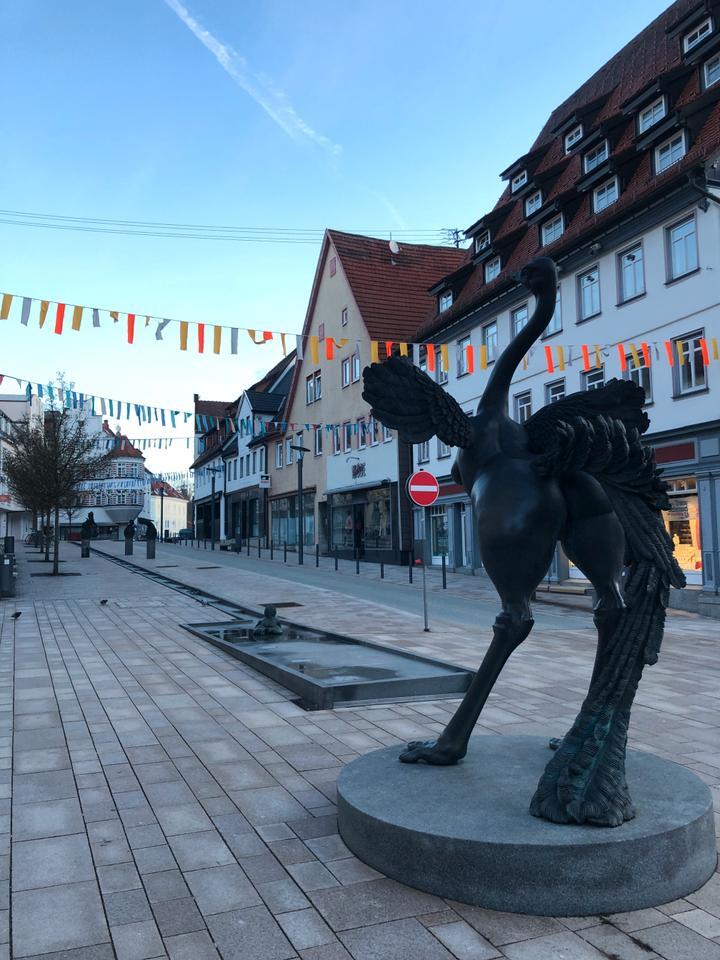 Möblierte Wohnung im Herzen von Albstadt-Ebingen!