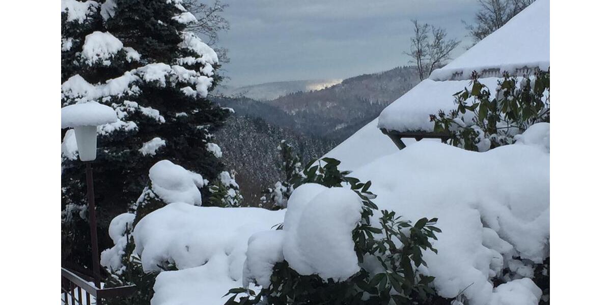 Erdgeschoßwohnung Waldbrunn - 2.5 Zimmer, 62 m&sup2;, 570&euro; | Angebot:24349853