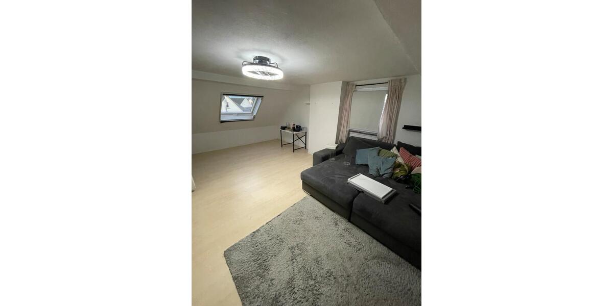 Dachgeschoßwohnung Heuchelheim a. d. Lahn - 1 Zimmer, 55 m&sup2;, 550&euro; | Angebot:27596329