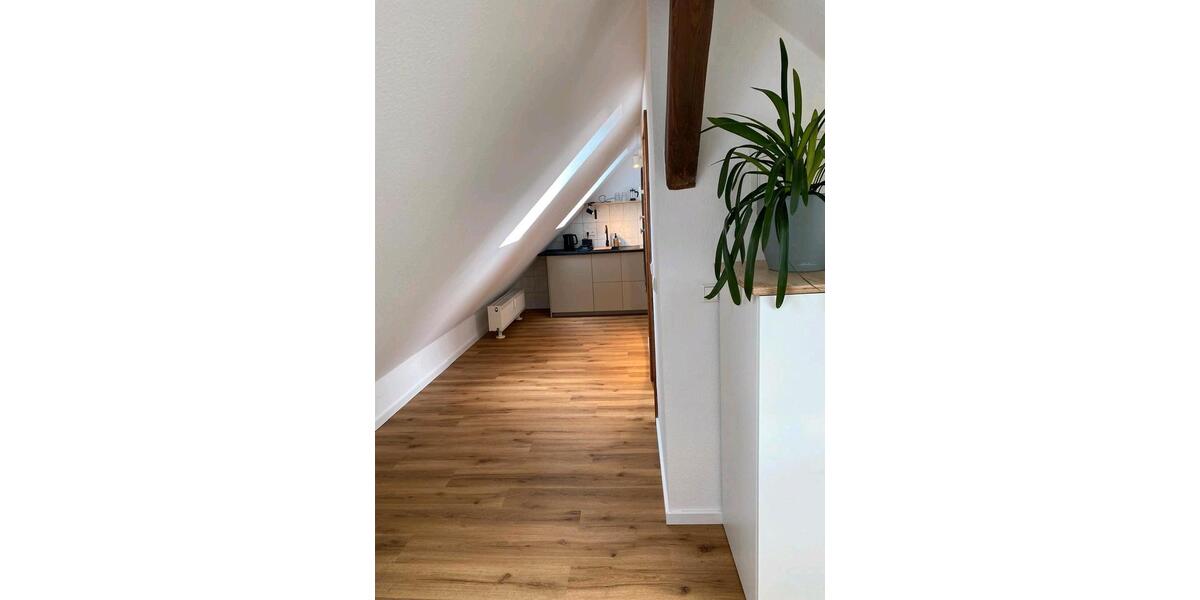 Dachgeschoßwohnung Jena - 1 Zimmer, 23 m&sup2;, 750&euro; | Angebot:26403953