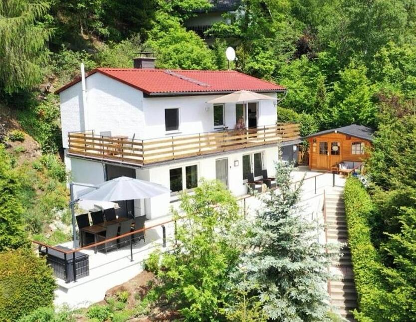 Ferienhaus am Diemelsee Sauerland Hund Willingen Winterberg