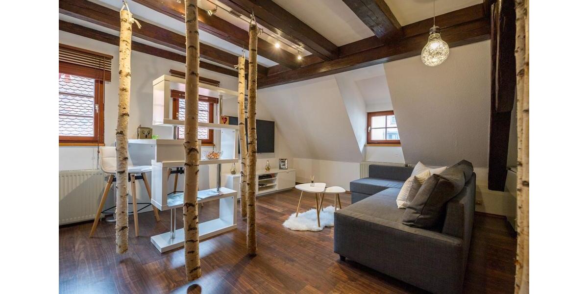 Wohnen auf Zeit Rottweil - 2 Zimmer, 55 m&sup2;, 1.050&euro; | Angebot:26219732