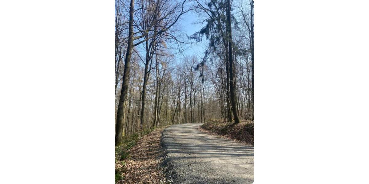 Erdgeschoßwohnung Königswinter - 3 Zimmer, 86 m&sup2;, 1.290&euro; | Angebot:25079981