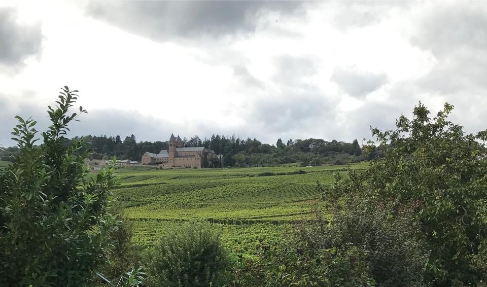 Etagenwohnung Geisenheim - 2 Zimmer, 80 m&sup2;, 970&euro; | Angebot:25715277