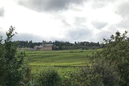 Wohnung Geisenheim - 2 Zimmer, 80 m&sup2;, 970&euro; | Angebot:25715277