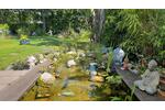 Jan-Juni 2026: 3 Zimmer mit großem Garten zimmer