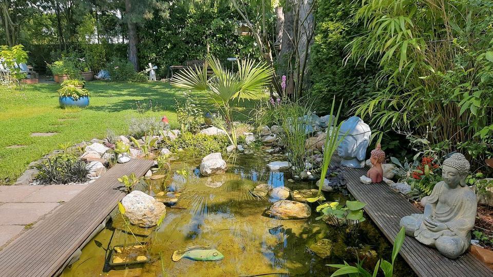 Jan-Juni 2026: 3 Zimmer mit großem Garten zimmer
