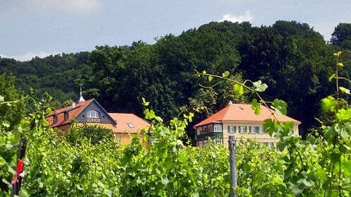 Etagenwohnung Radebeul Oberlößnitz - 3 Zimmer, 151 m&sup2;, 1.850&euro; | Angebot:25668402