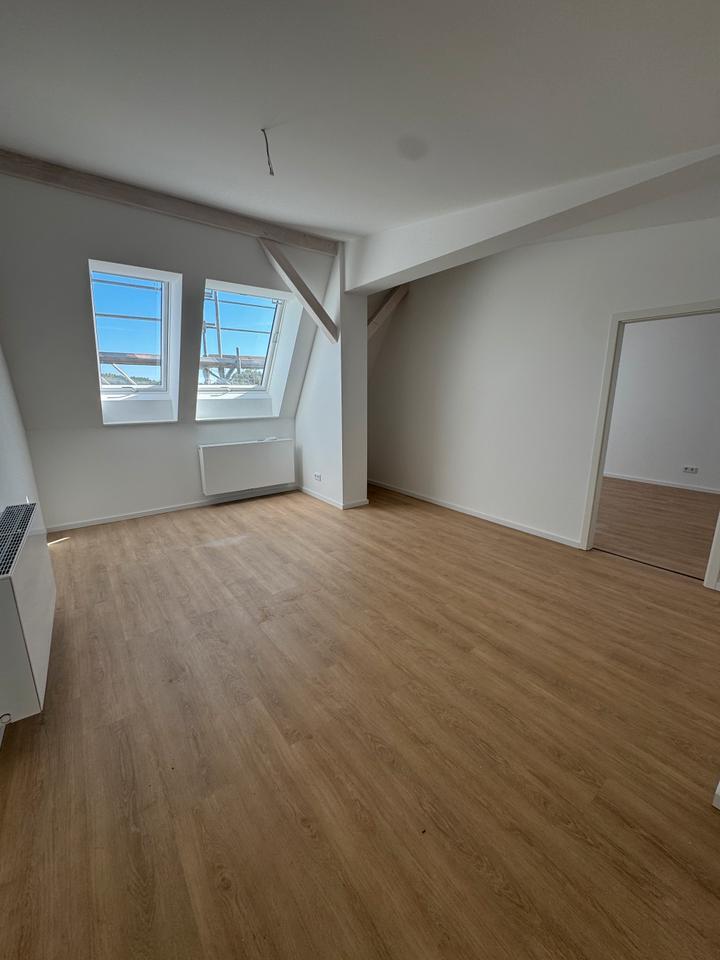 Erstbezug: Neubau-Dachgeschoßwohnung im Altbau – ökologisch & stilvoll 47,18 qm