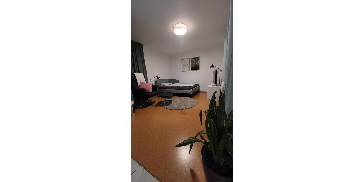 Etagenwohnung Ochsenfurt - 1 Zimmer, 30 m&sup2;, 390&euro; | Angebot:25220536