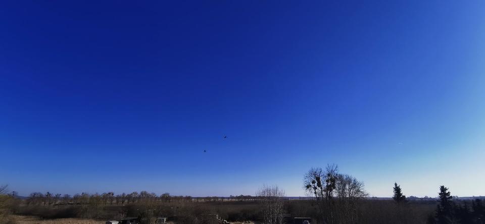 Etagenwohnung Pasewalk - 5 Zimmer, 112 m&sup2;, 840&euro; | Angebot:26242904