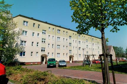 Wohnung Strasburg (Uckermark) - 2 Zimmer, 51 m&sup2;, 325&euro; | Angebot:25714376