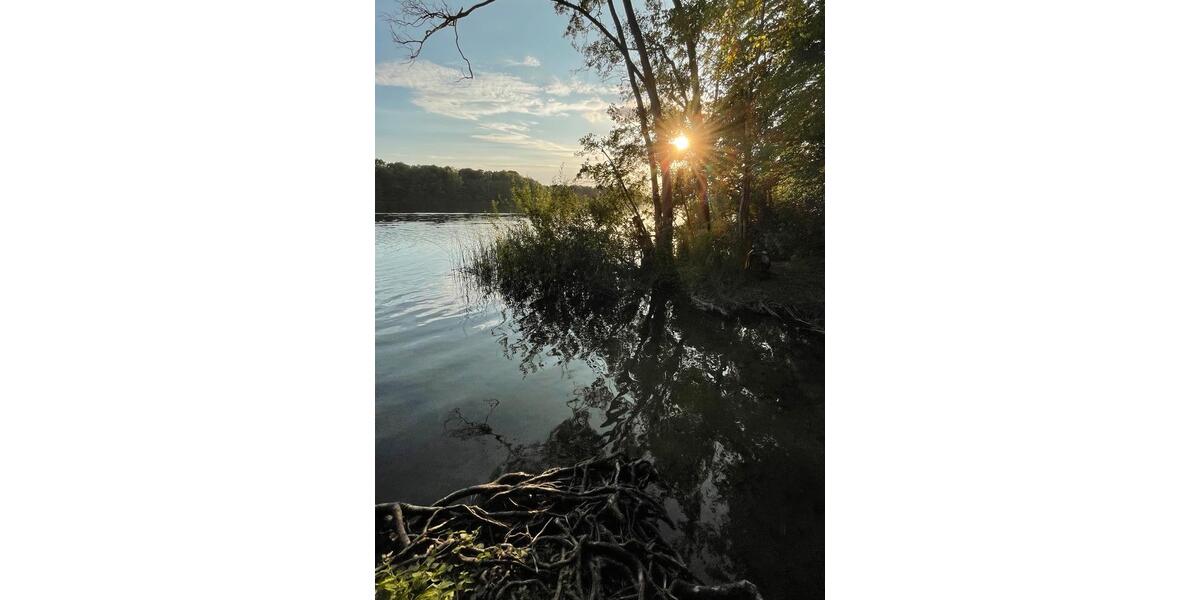 Einfamilienhaus Schwerin Friedrichsthal - 3 Zimmer, 100 m&sup2;, 1.350&euro; | Angebot:25178235