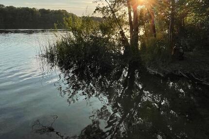 Haus Schwerin Friedrichsthal - 3 Zimmer, 100 m&sup2;, 1.350&euro; | Angebot:25178235