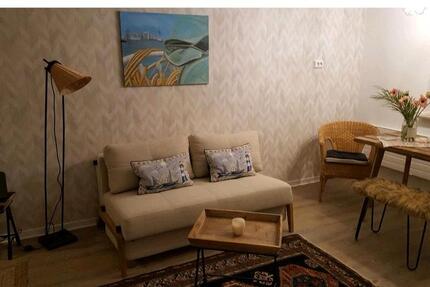 City Apartment ab sofort frei bis 20.Jan auch Kurzzeit günstig 1 zimmer