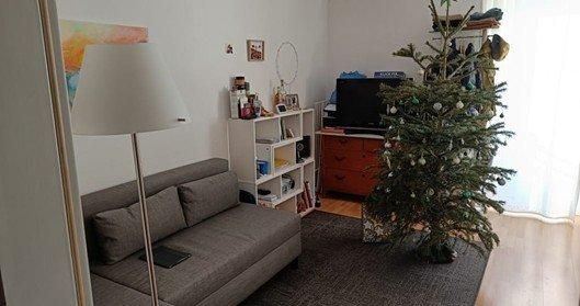 Wohnen auf Zeit Konstanz Konstanz-Fürstenberg - 1.5 Zimmer, 30 m&sup2;, 780&euro; | Angebot:26248461