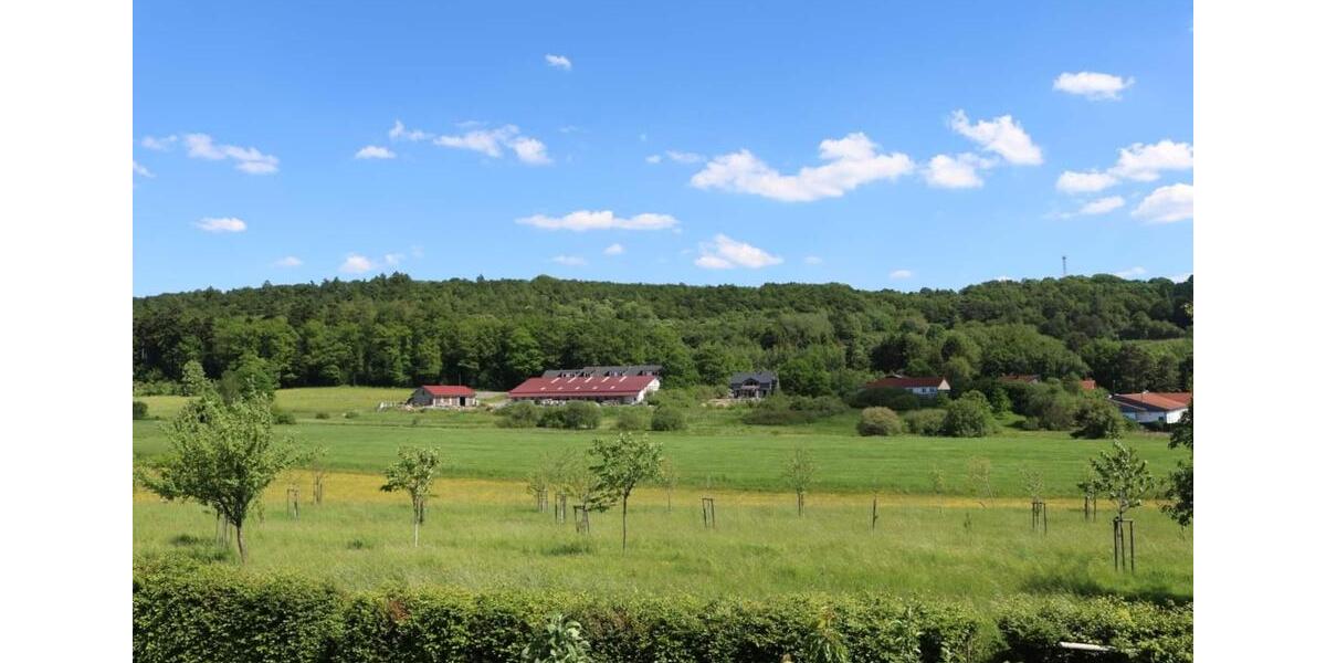 Wohnen auf Zeit Birkenfeld - 1 Zimmer, 40 m&sup2;, 45&euro; | Angebot:26042713