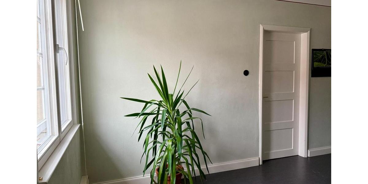 Charmante 4-Zimmer-Wohnung in historischem Gebäude – kernsaniert 4 zimmer