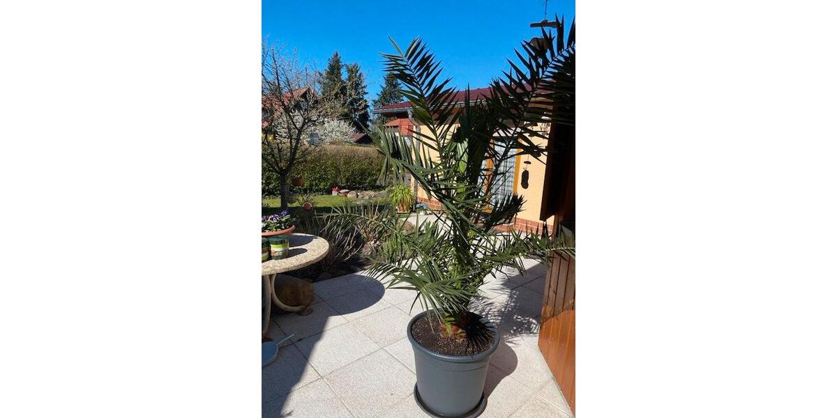 Einfamilienhaus Eberswalde - 4 Zimmer, 100 m&sup2;, 1.300&euro; | Angebot:25367803